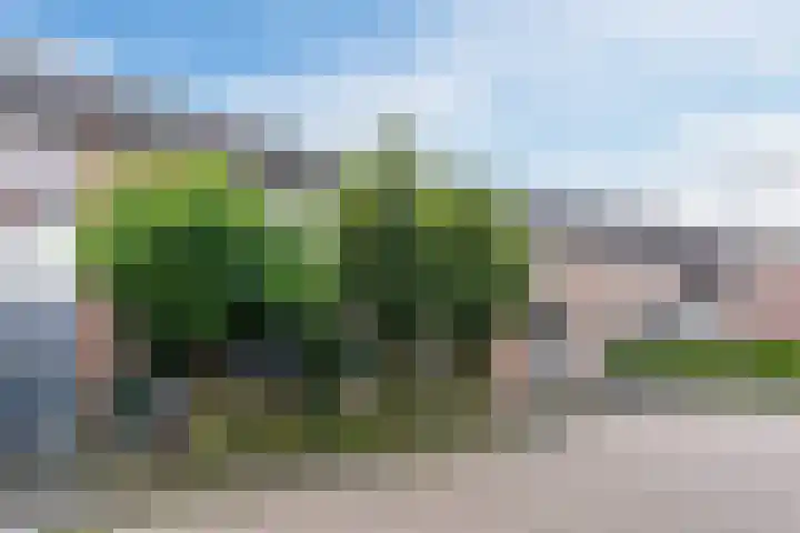 Eessenkamp 89 Wapenveld thumbnail 19