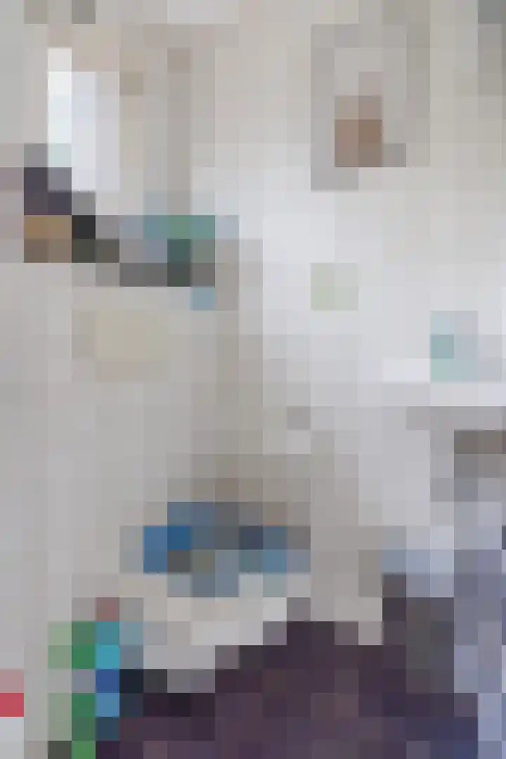 Eessenkamp 89 Wapenveld thumbnail 7
