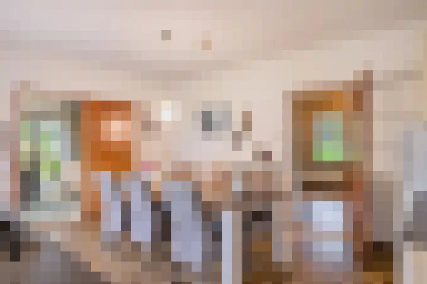 Eesterbrinkweg 5 a Gorssel thumbnail 12