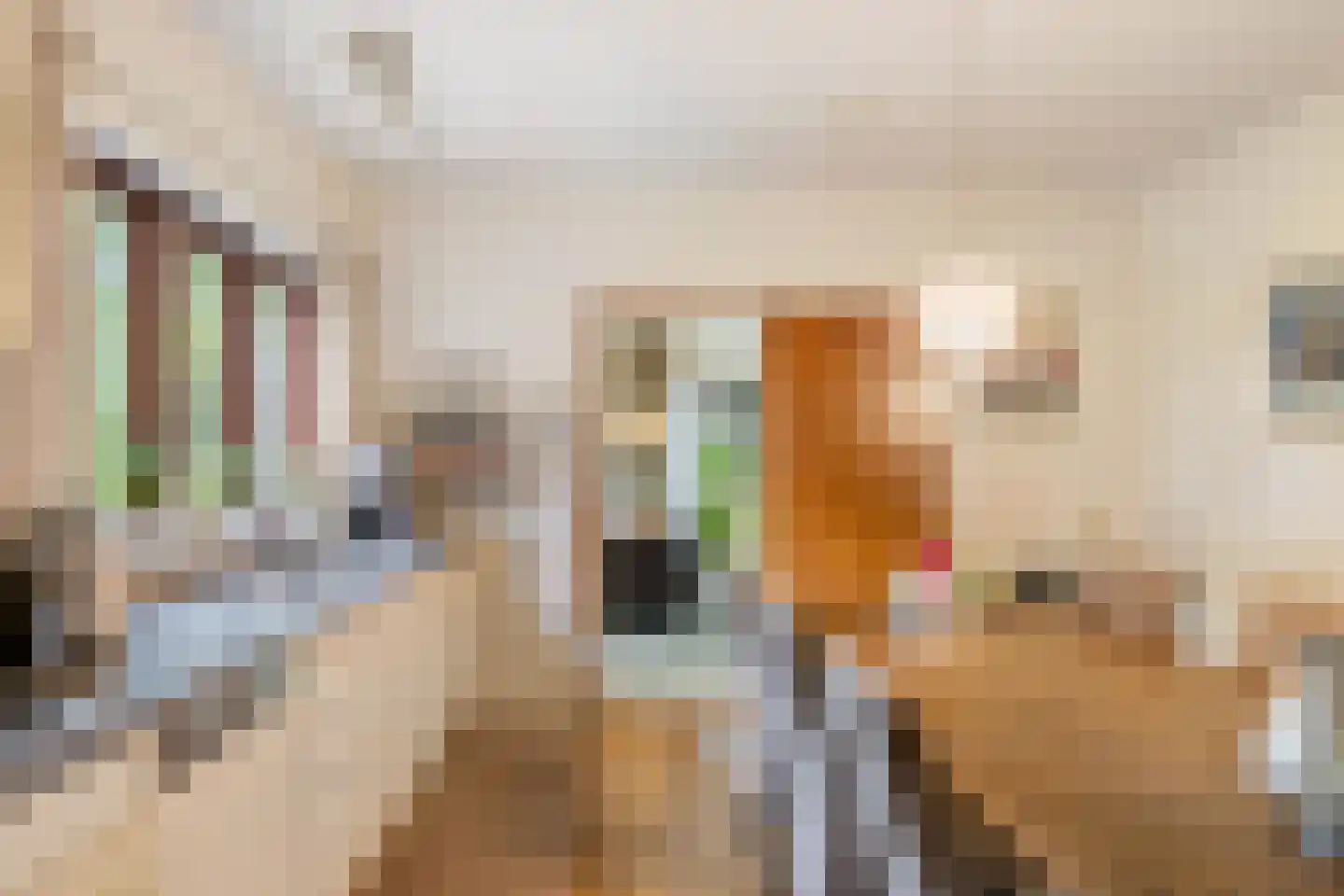 Eesterbrinkweg 5 a Gorssel thumbnail 14