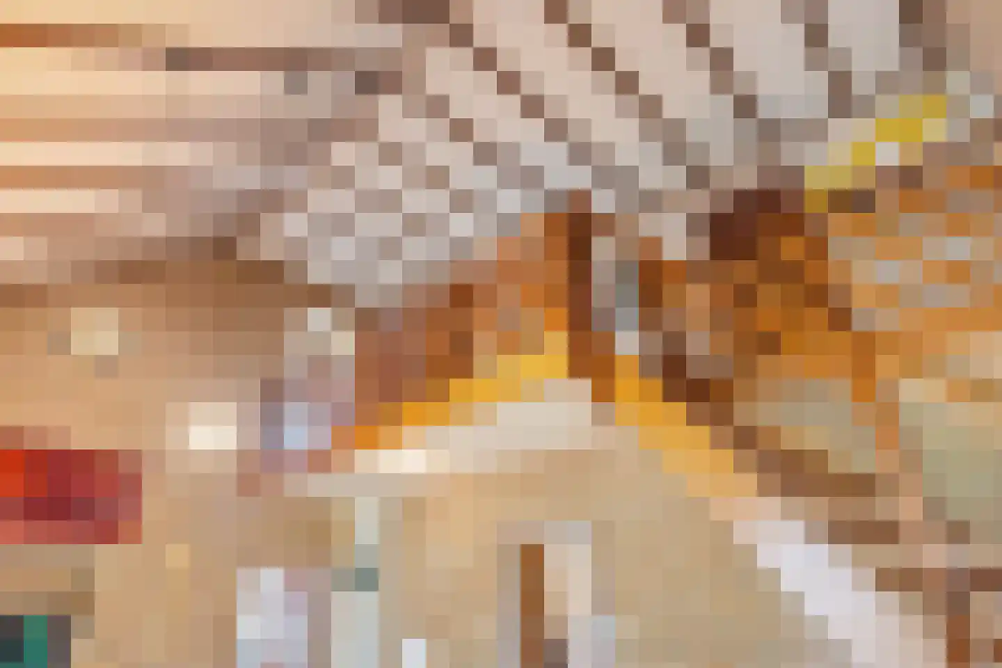 Eesterbrinkweg 5 a Gorssel thumbnail 17