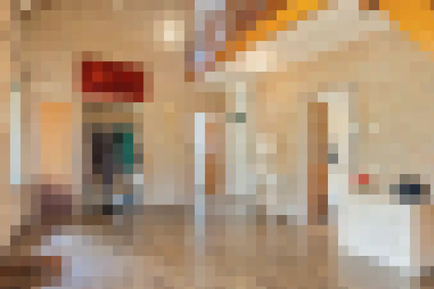 Eesterbrinkweg 5 a Gorssel thumbnail 19