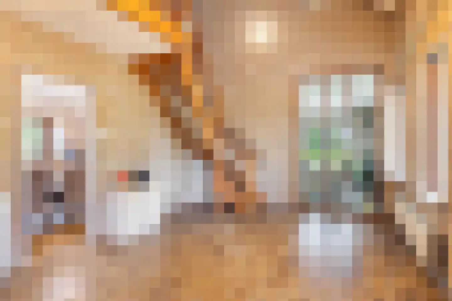 Eesterbrinkweg 5 a Gorssel thumbnail 20