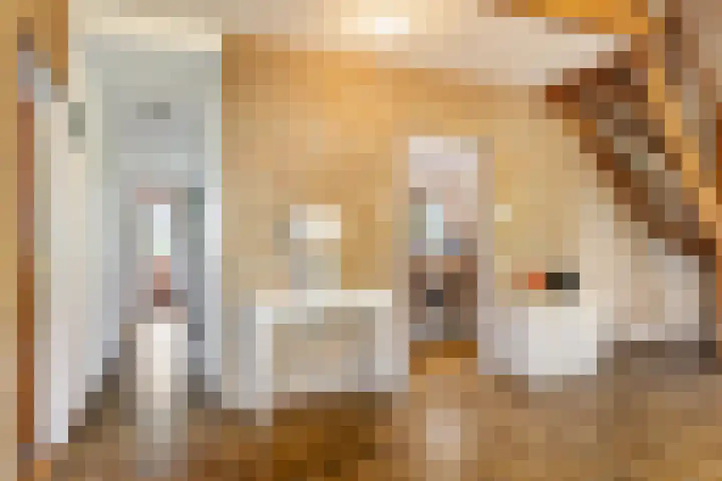 Eesterbrinkweg 5 a Gorssel thumbnail 21