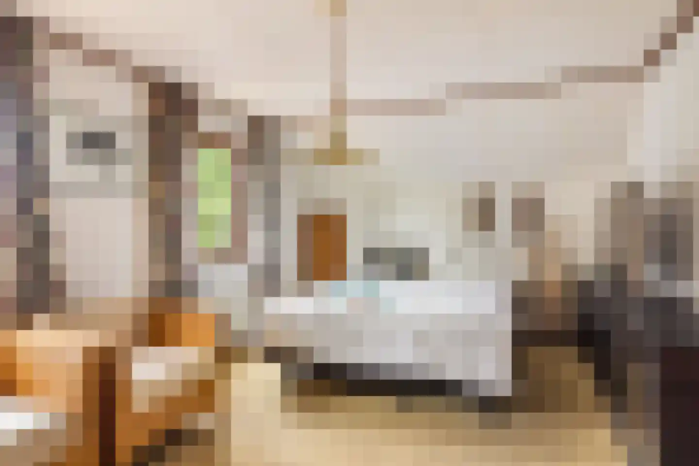Eesterbrinkweg 5 a Gorssel thumbnail 33