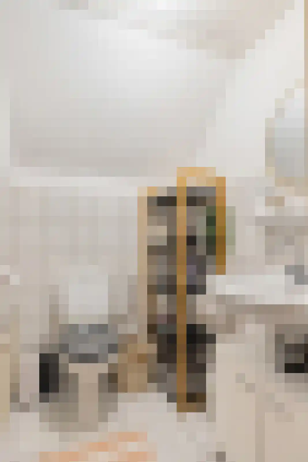 Eesterbrinkweg 5 a Gorssel thumbnail 37