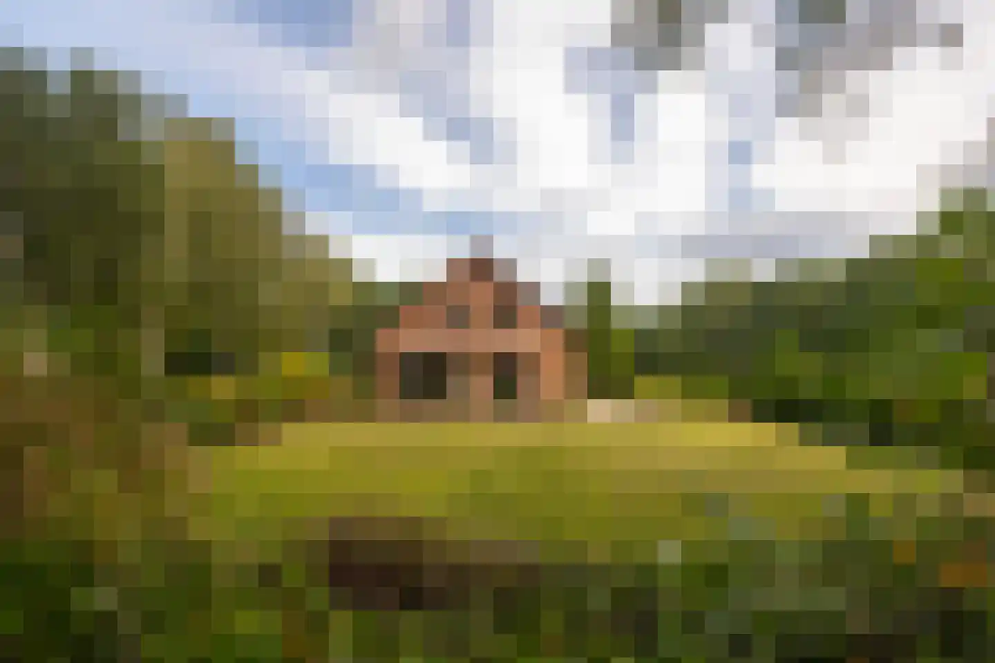 Eesterbrinkweg 5 a Gorssel thumbnail 41