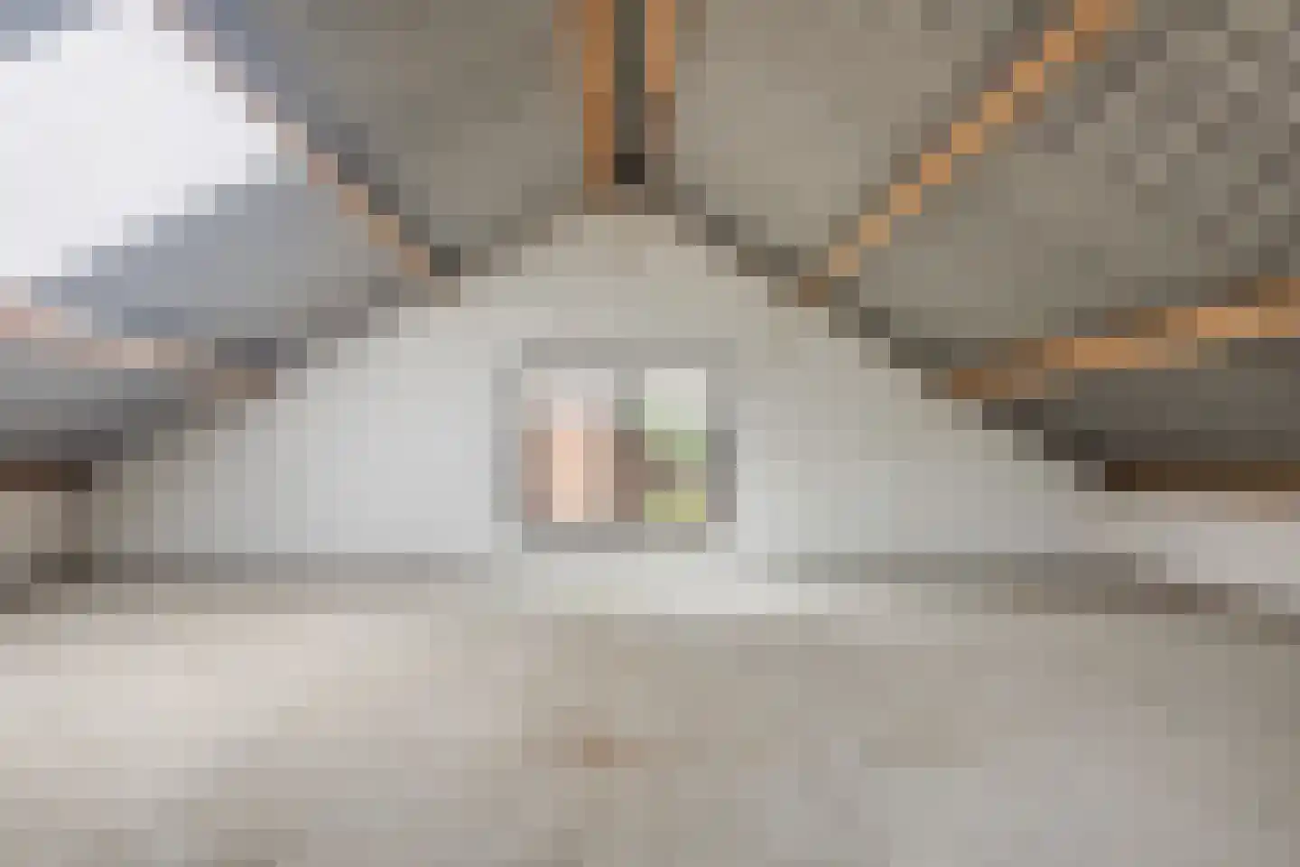 Eesterbrinkweg 5 a Gorssel thumbnail 49