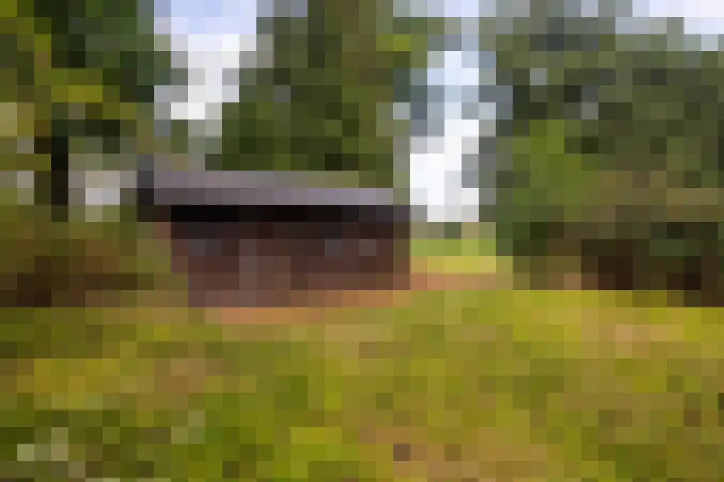 Eesterbrinkweg 5 a Gorssel thumbnail 56