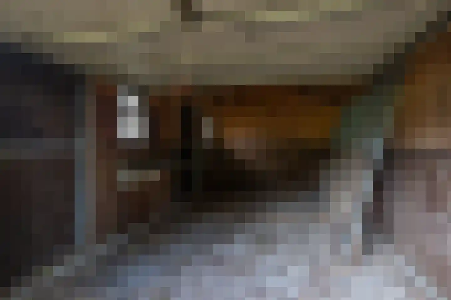 Eesterbrinkweg 5 a Gorssel thumbnail 57