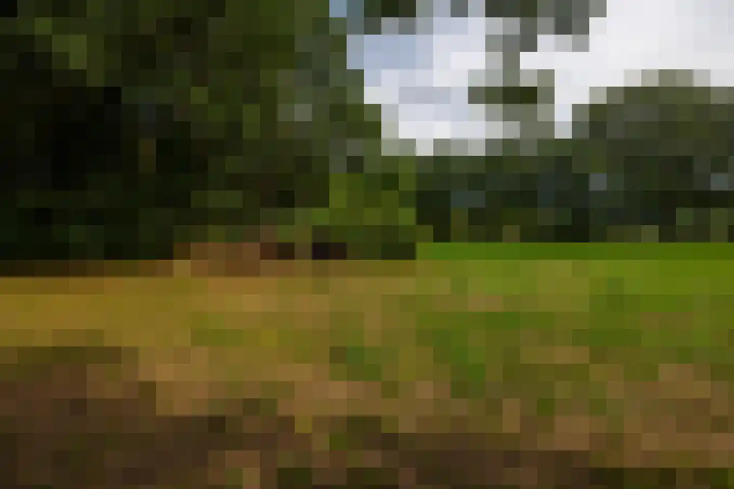 Eesterbrinkweg 5 a Gorssel thumbnail 61