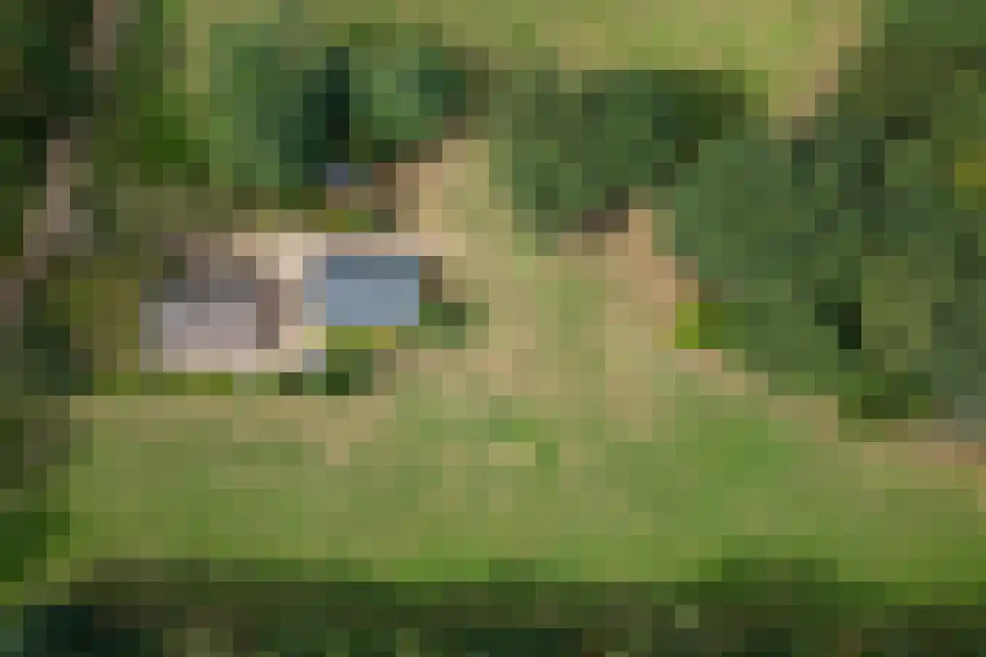 Eesterbrinkweg 5 a Gorssel thumbnail 63