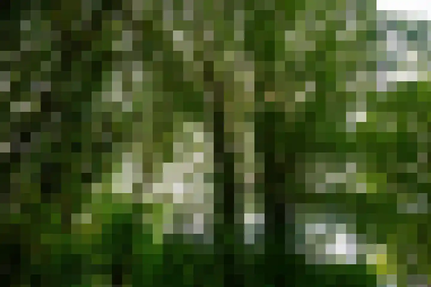 Eesterbrinkweg 5 a Gorssel thumbnail 64