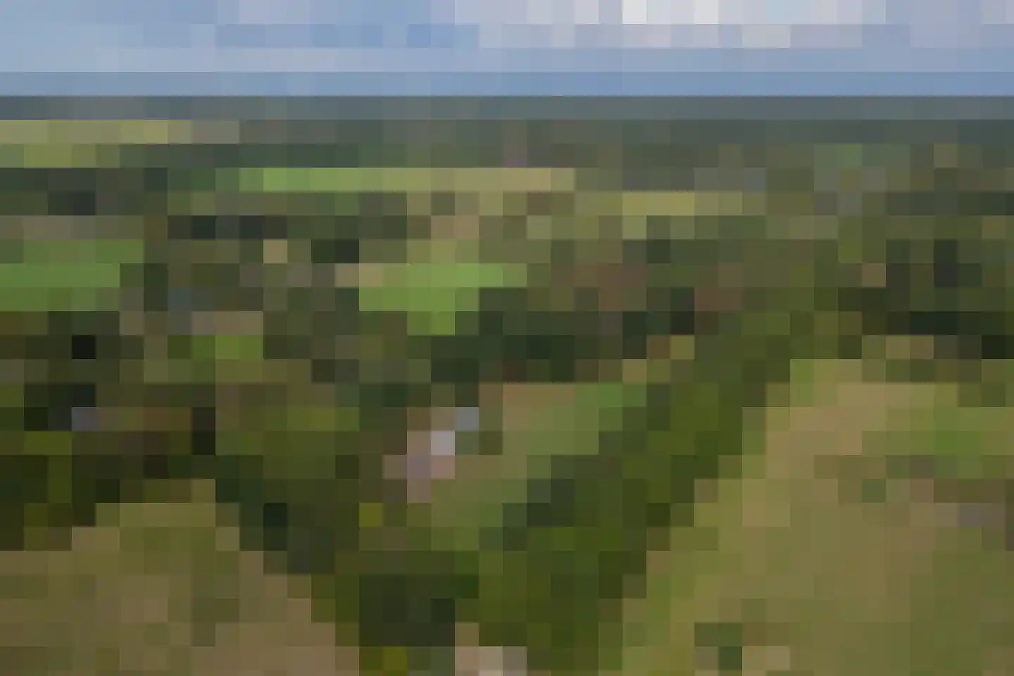 Eesterbrinkweg 5 a Gorssel thumbnail 66