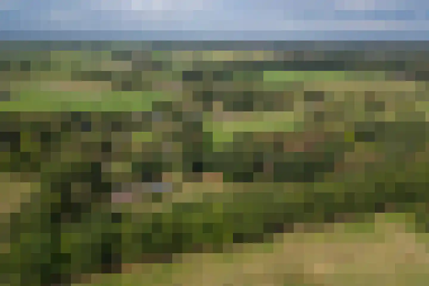 Eesterbrinkweg 5 a Gorssel thumbnail 70