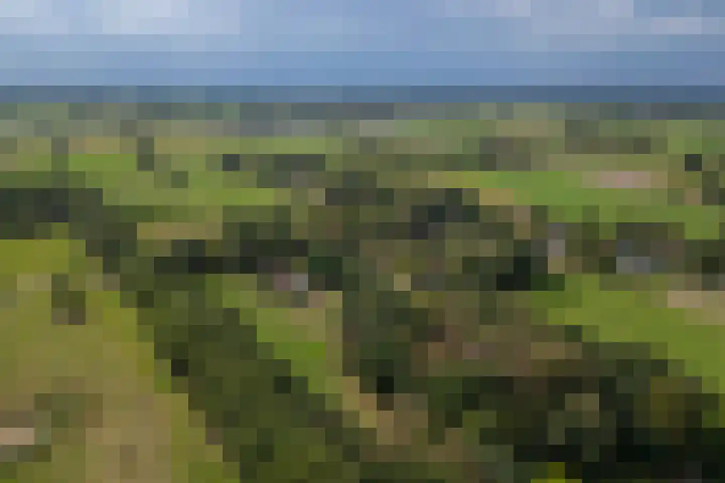 Eesterbrinkweg 5 a Gorssel thumbnail 71