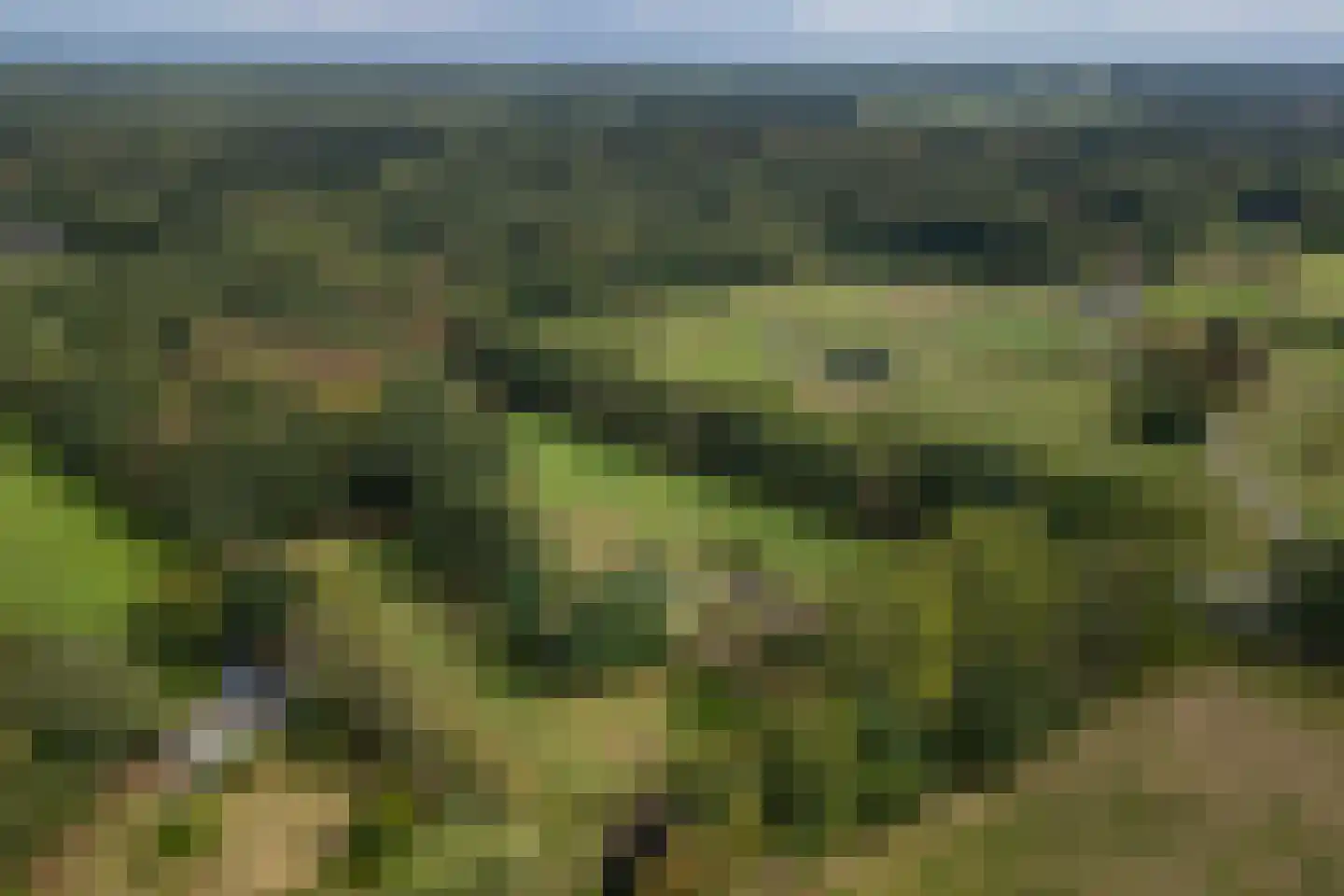 Eesterbrinkweg 5 a Gorssel thumbnail 72