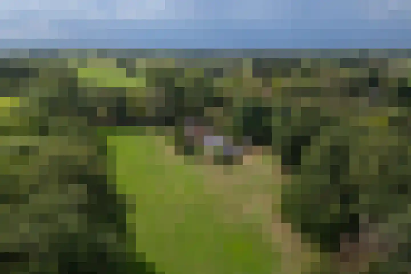 Eesterbrinkweg 5 a Gorssel thumbnail 73