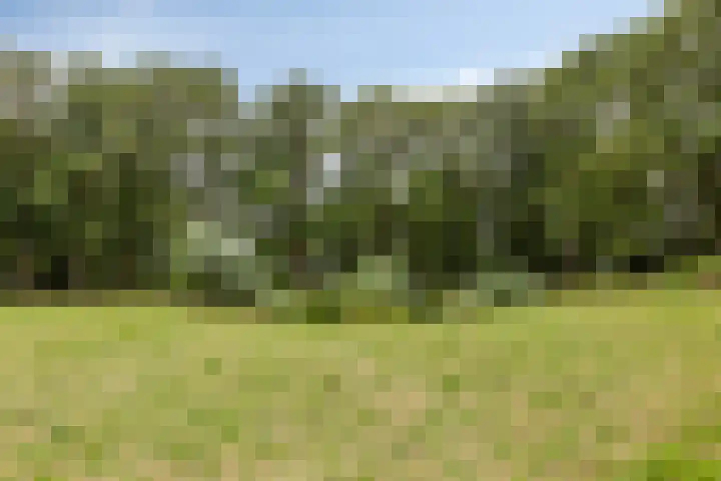 Eesterbrinkweg Eefde thumbnail 12
