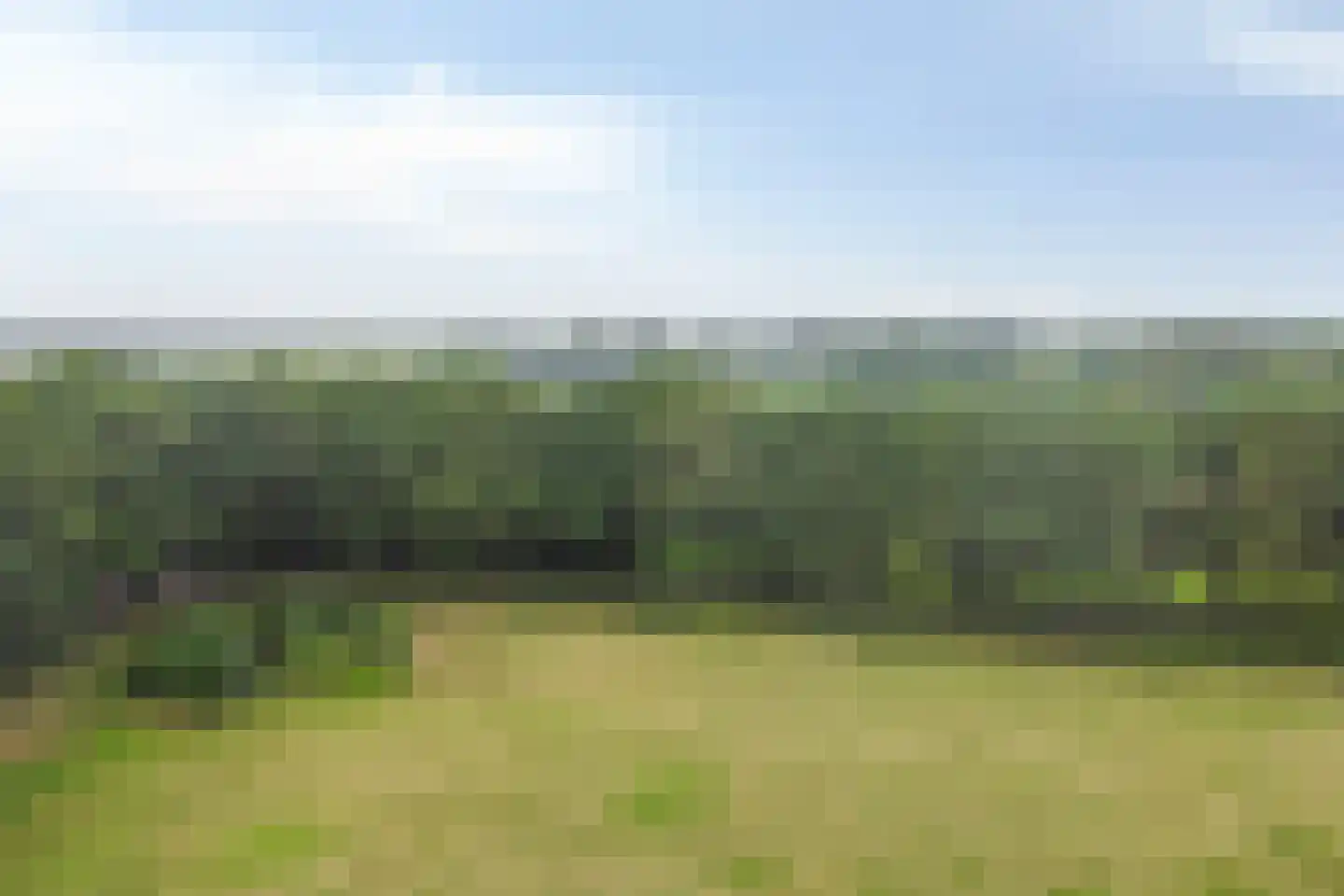 Eesterbrinkweg Eefde thumbnail 13