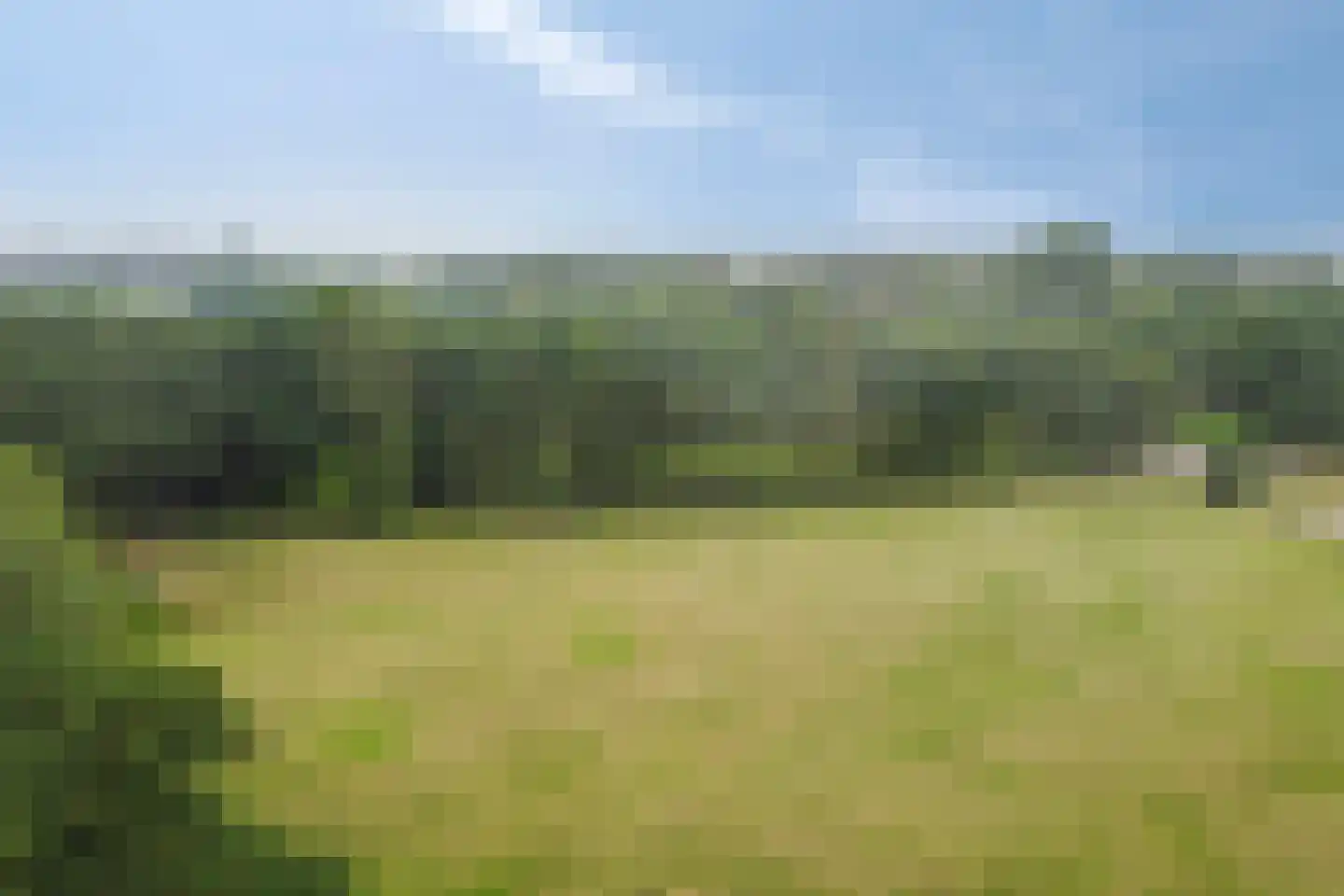 Eesterbrinkweg Eefde thumbnail 14
