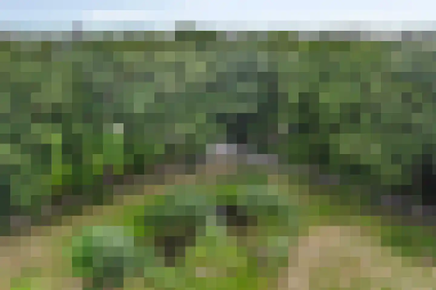 Eesterbrinkweg Eefde thumbnail 16