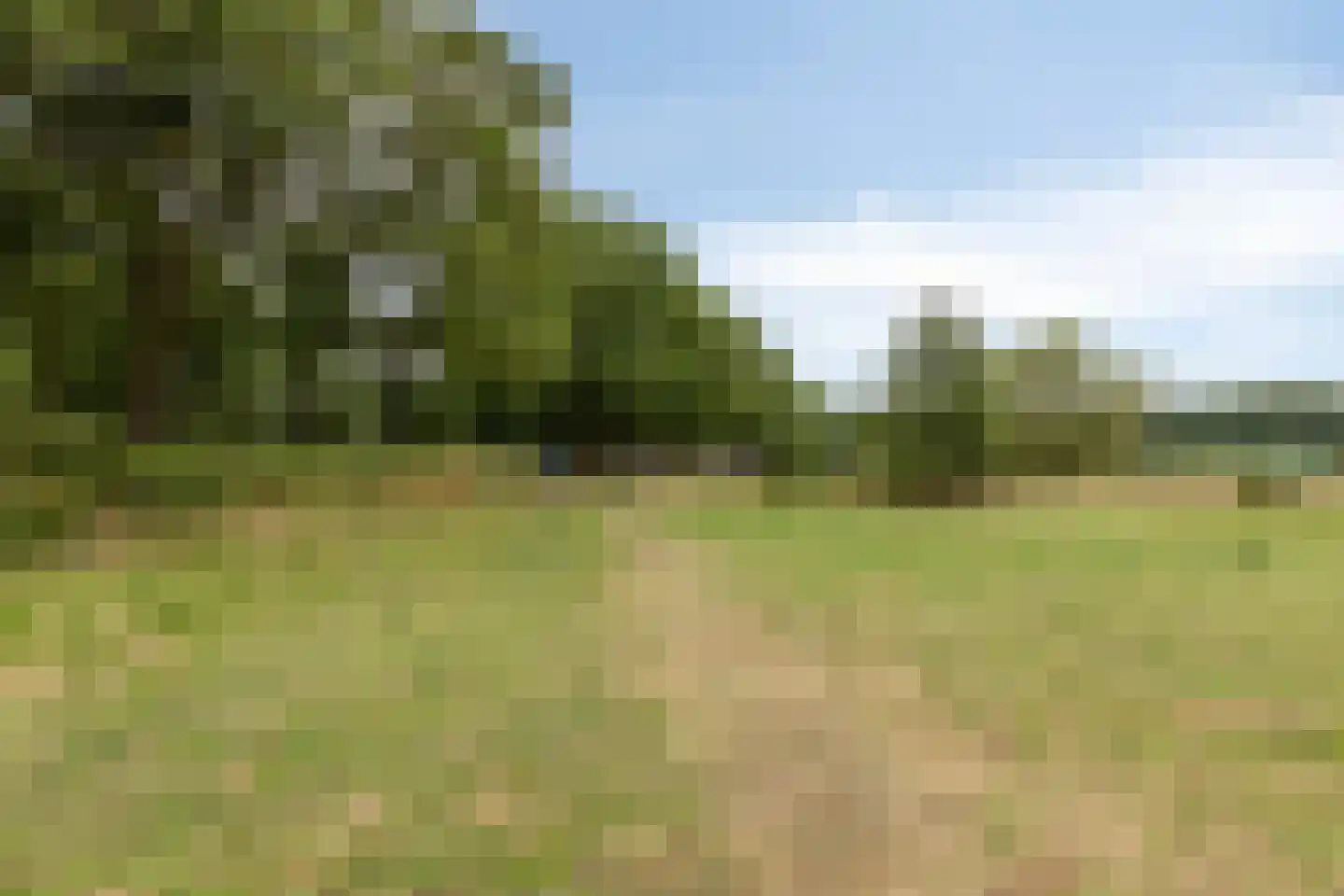 Eesterbrinkweg Eefde thumbnail 18