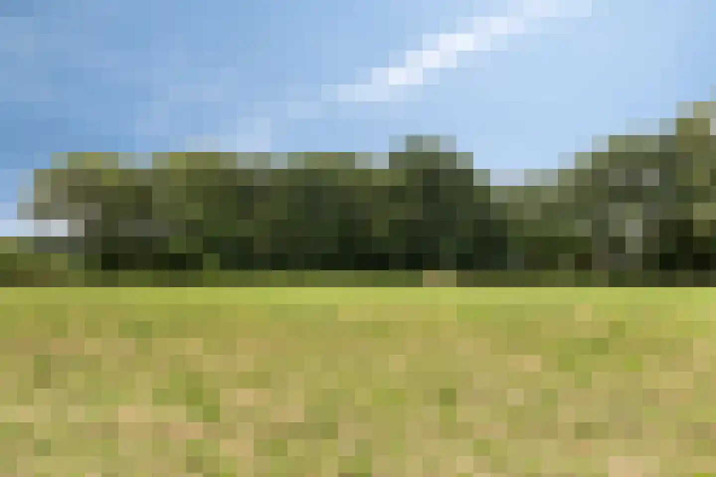 Eesterbrinkweg Eefde thumbnail 19