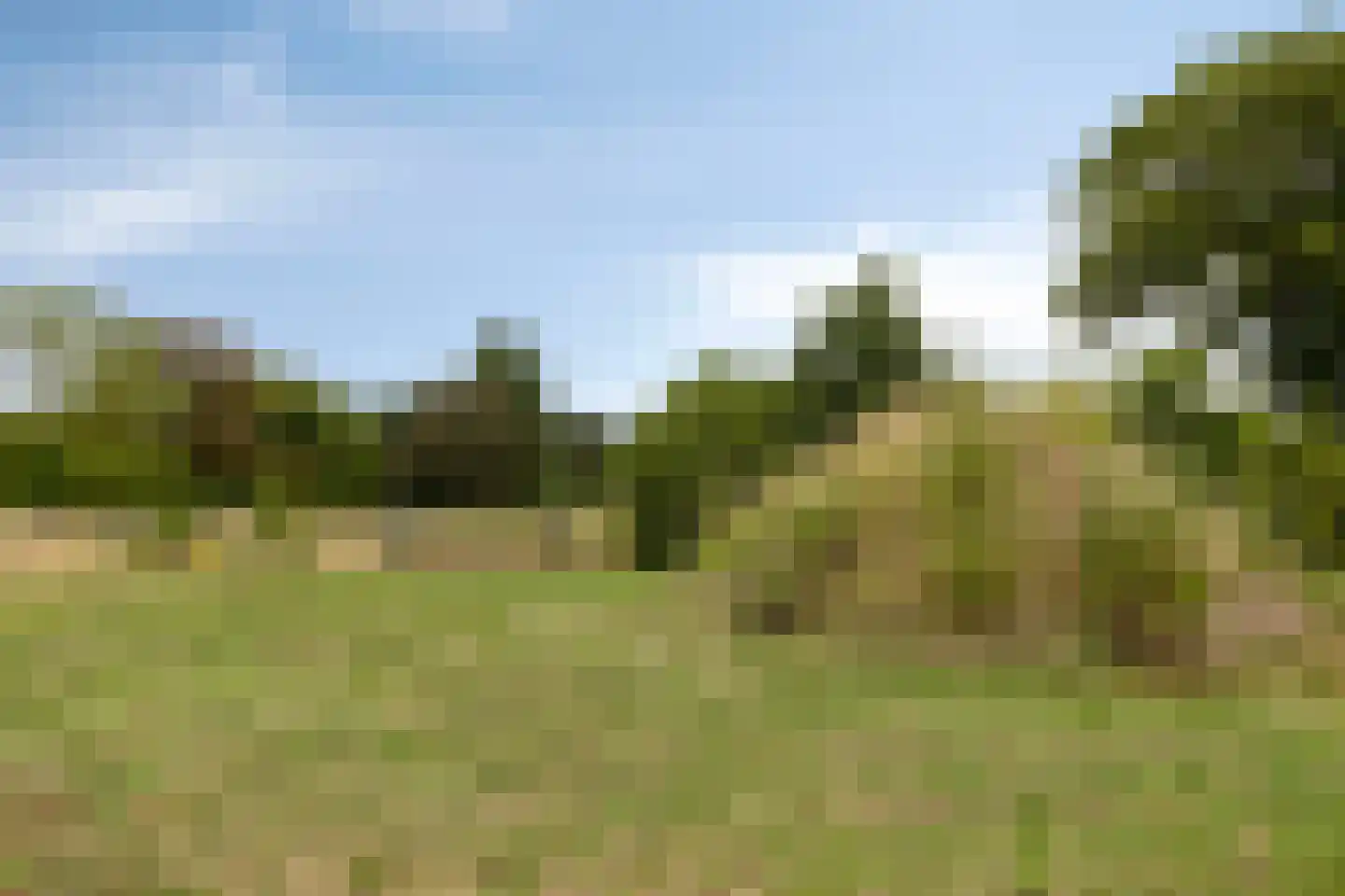Eesterbrinkweg Eefde thumbnail 20