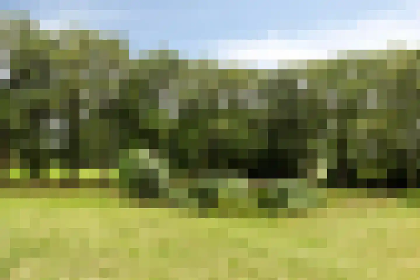 Eesterbrinkweg Eefde thumbnail 22