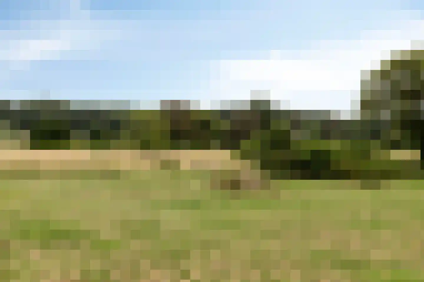 Eesterbrinkweg Eefde thumbnail 23