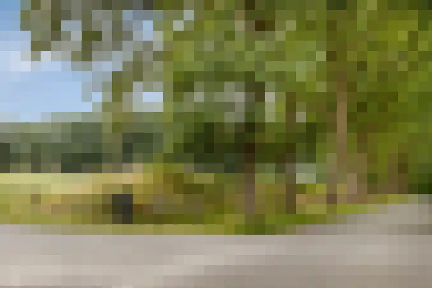 Eesterbrinkweg Eefde thumbnail 24