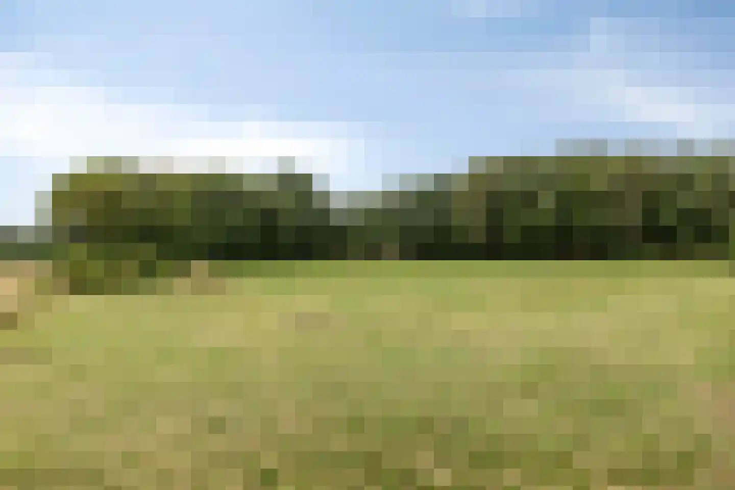 Eesterbrinkweg Eefde thumbnail 9