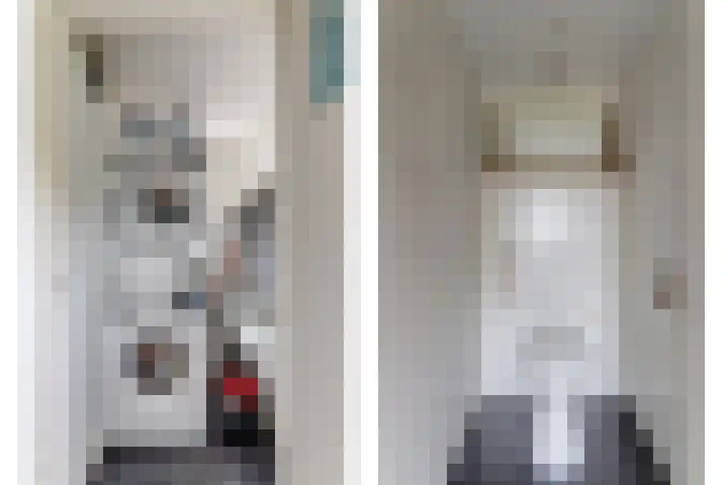 Eesterich 13 Molkwerum thumbnail 15