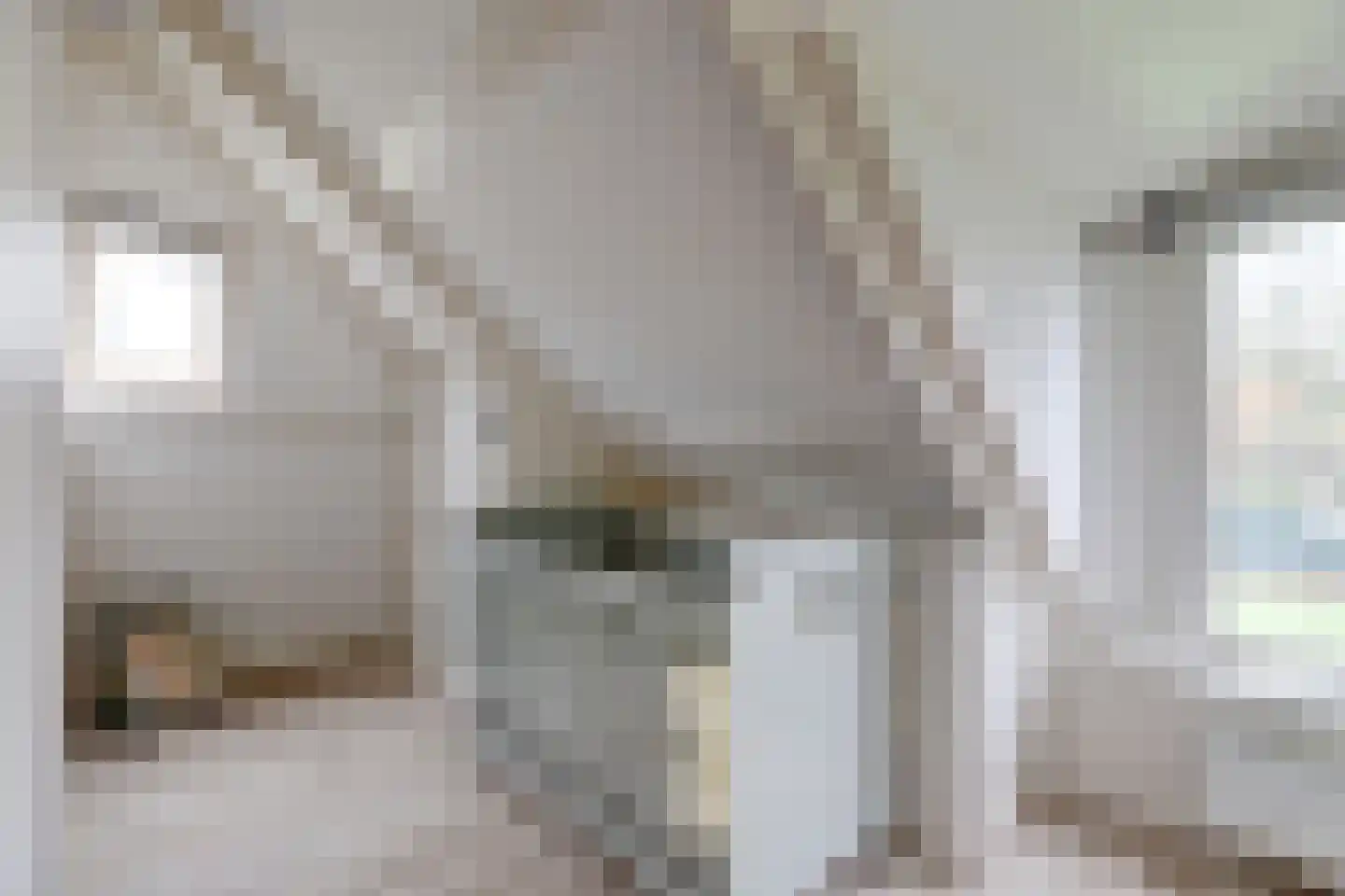 Eesterich 13 Molkwerum thumbnail 18