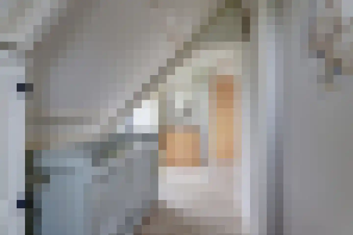 Eesterich 13 Molkwerum thumbnail 19