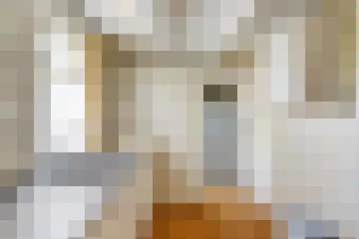 Eesterich 14 Molkwerum thumbnail 10