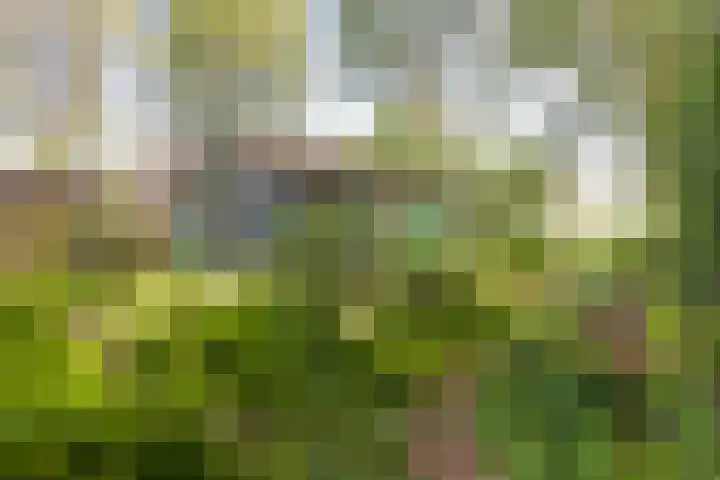 Eesterich 14 Molkwerum thumbnail 17