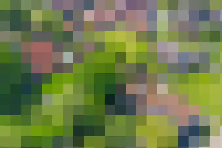Eesterich 14 Molkwerum thumbnail 20