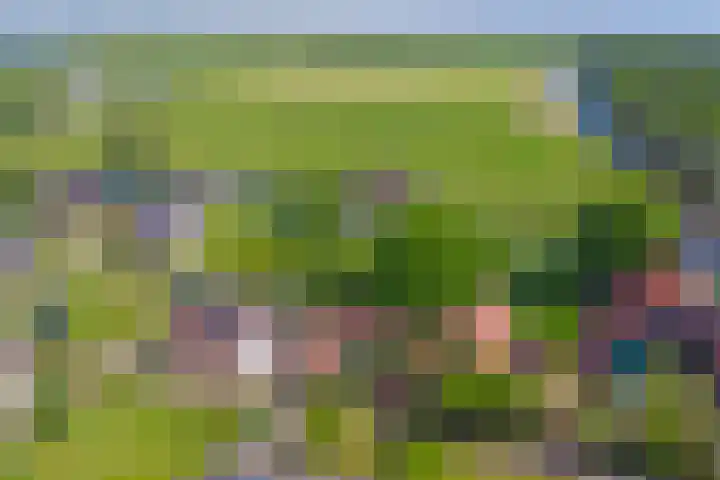 Eesterich 14 Molkwerum thumbnail 21