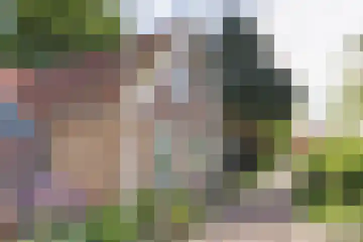 Eesterich 14 Molkwerum thumbnail 5