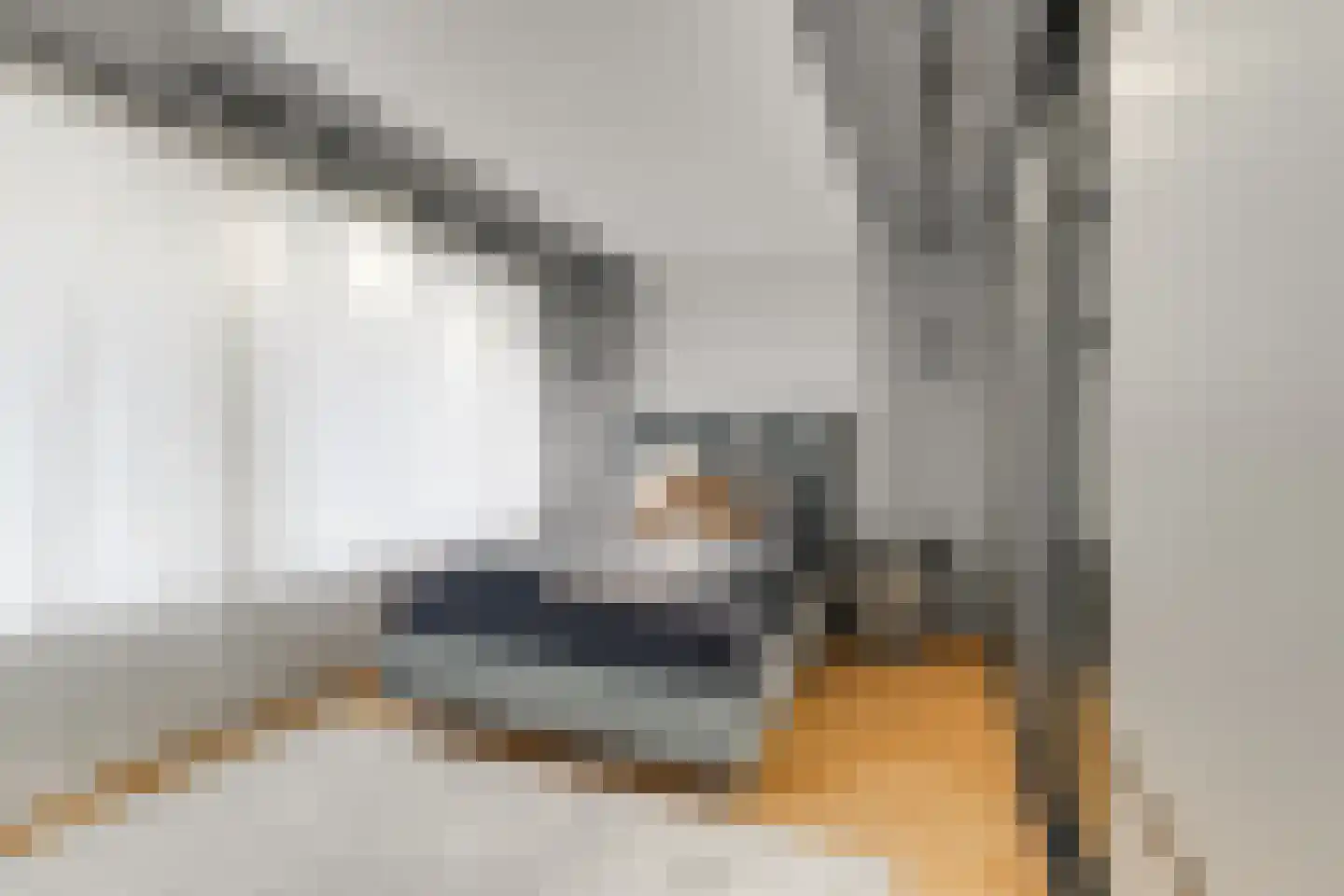 Eesterwaard 126 Zoetermeer thumbnail 10