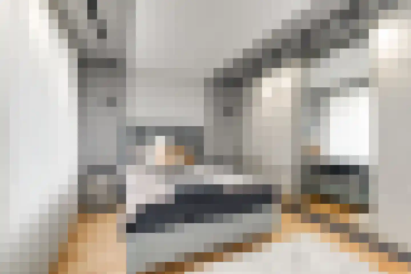 Eesterwaard 126 Zoetermeer thumbnail 11