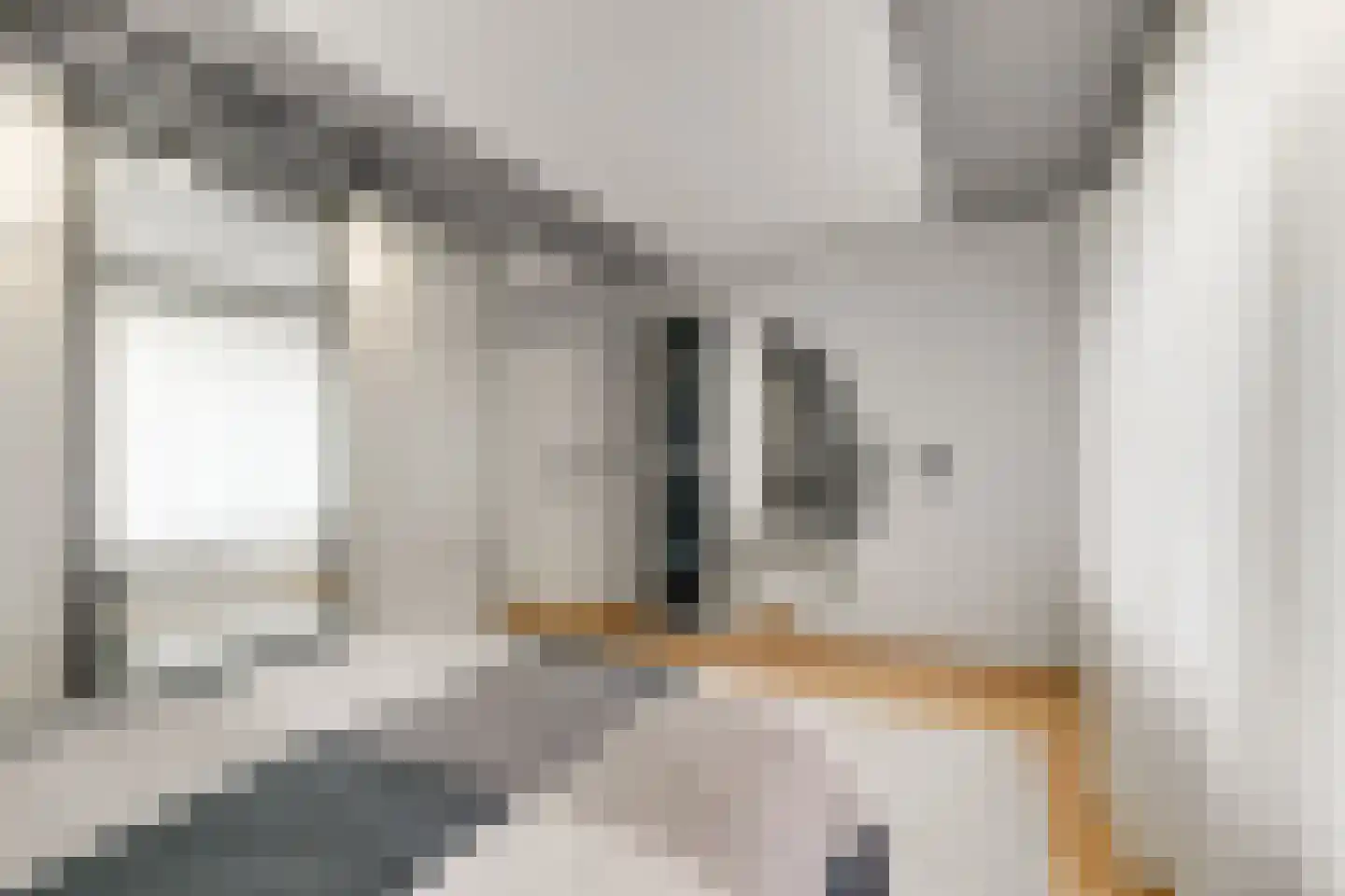 Eesterwaard 126 Zoetermeer thumbnail 12