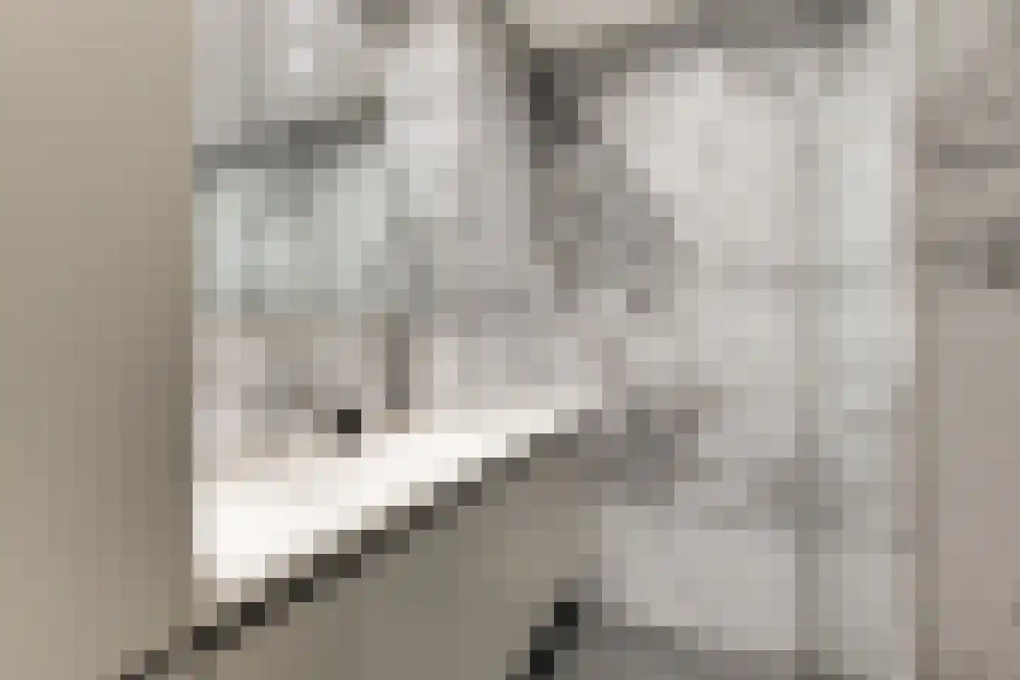 Eesterwaard 126 Zoetermeer thumbnail 17