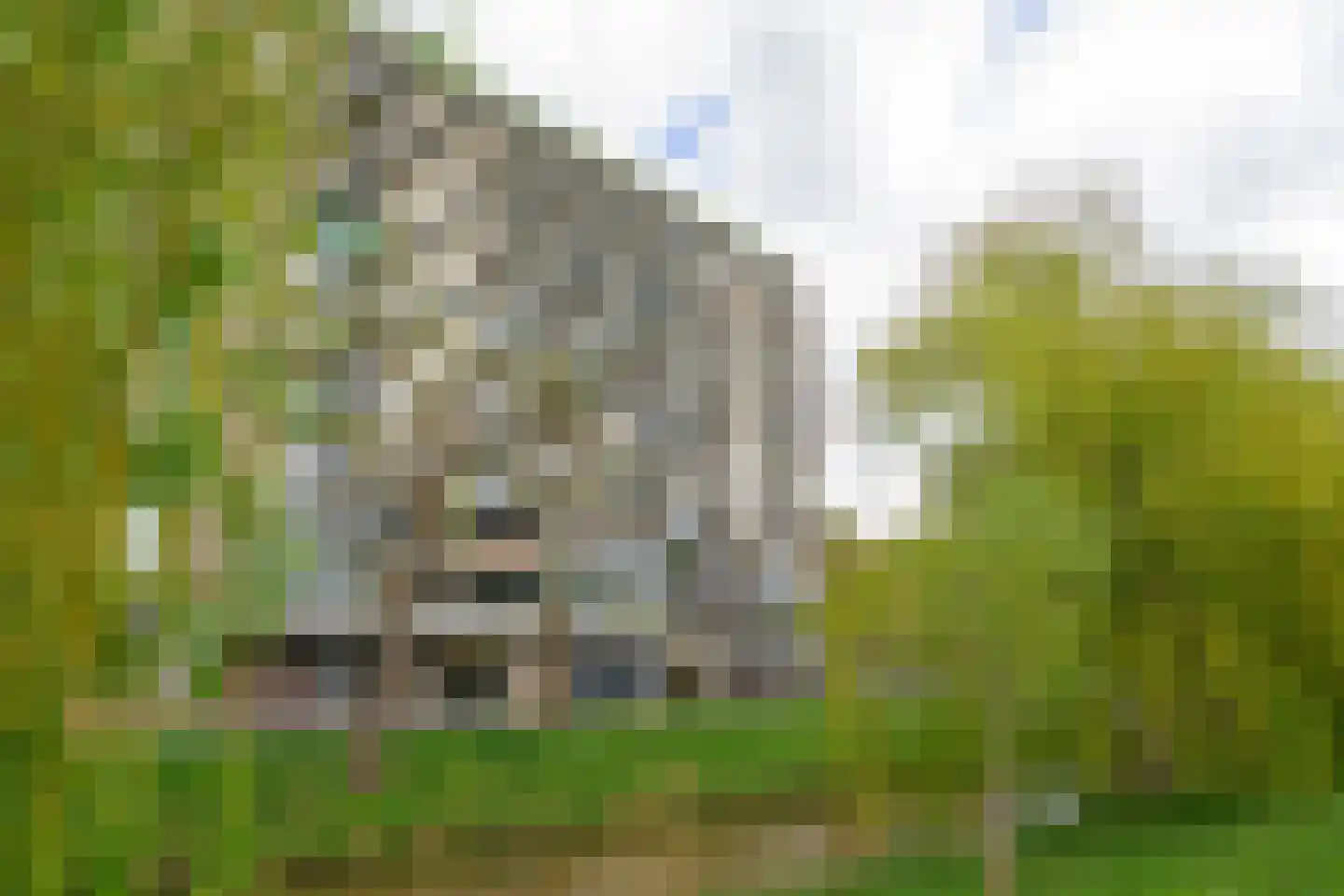 Eesterwaard 126 Zoetermeer thumbnail 21