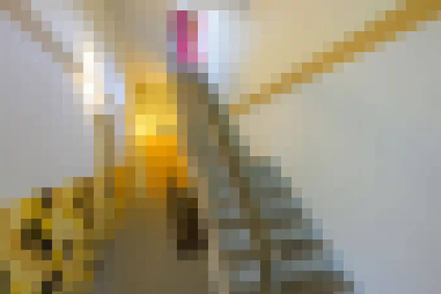 Eesterwaard 126 Zoetermeer thumbnail 24