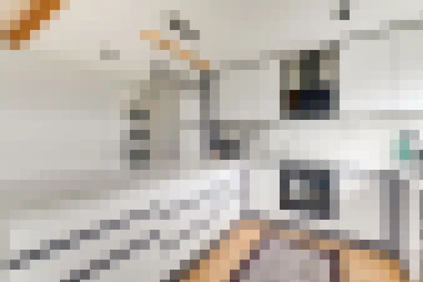 Eesterwaard 126 Zoetermeer thumbnail 4