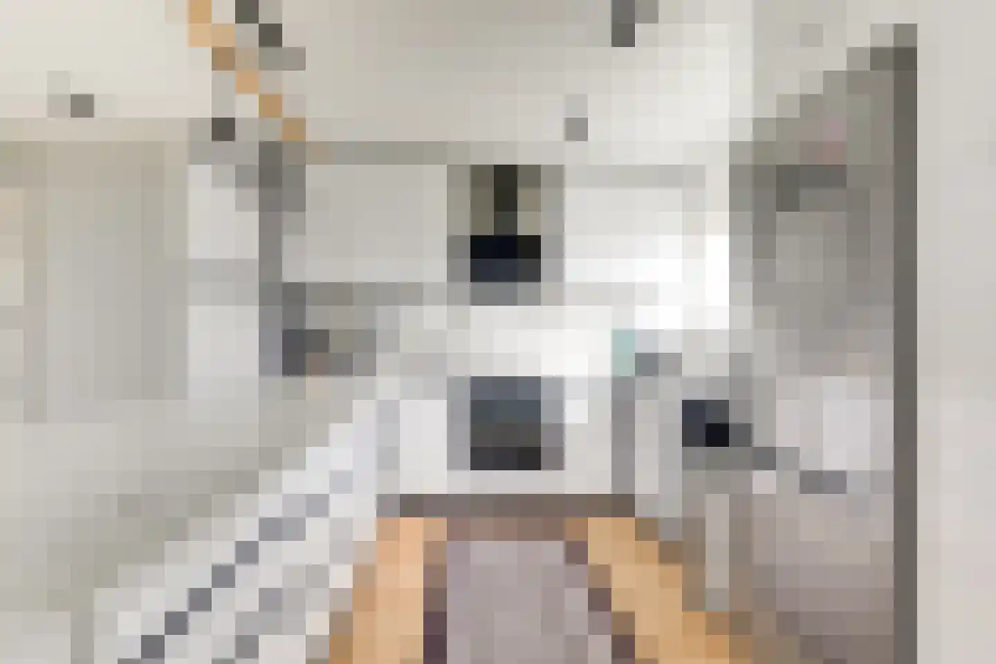 Eesterwaard 126 Zoetermeer thumbnail 5