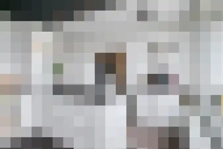 Eesterwaard 130 Zoetermeer thumbnail 20